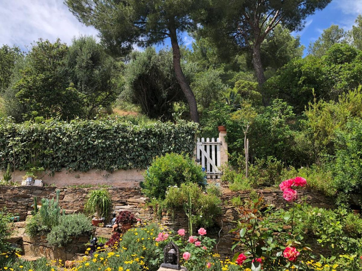 Logement Zen Sur La Colline Aux Mimosas Hyères Kültér fotó